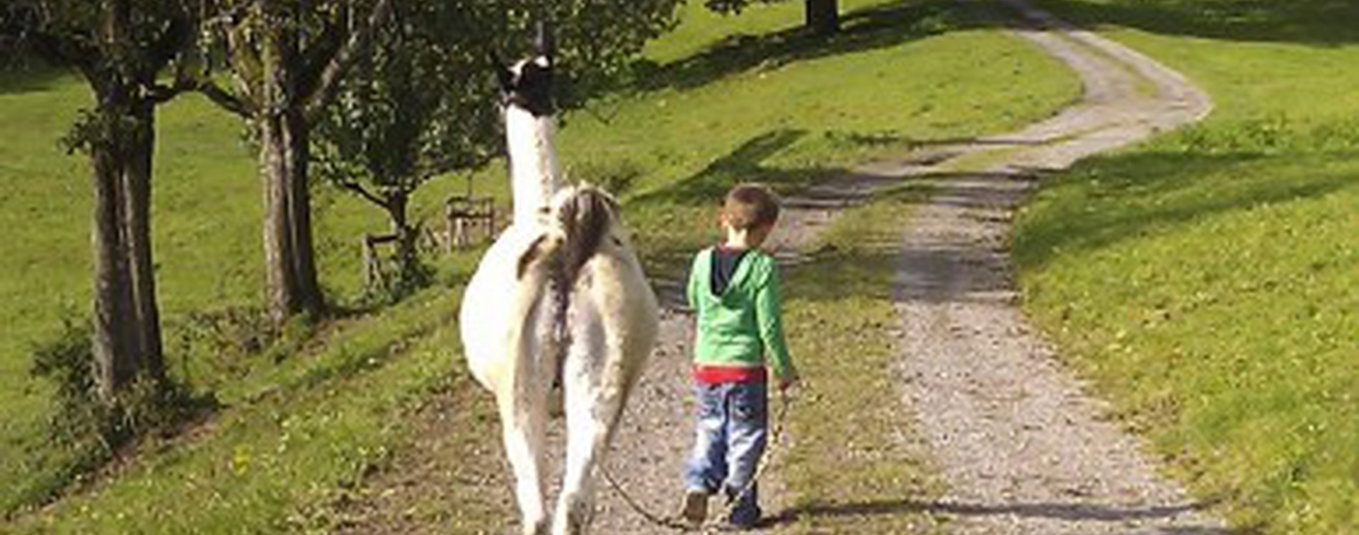 KENNiDI für den guten Zweck